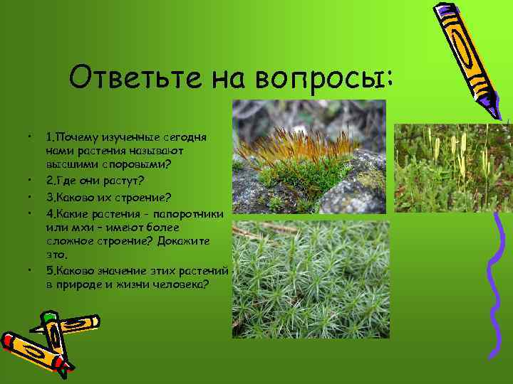 Ответьте на вопросы: • • • 1. Почему изученные сегодня нами растения называют высшими