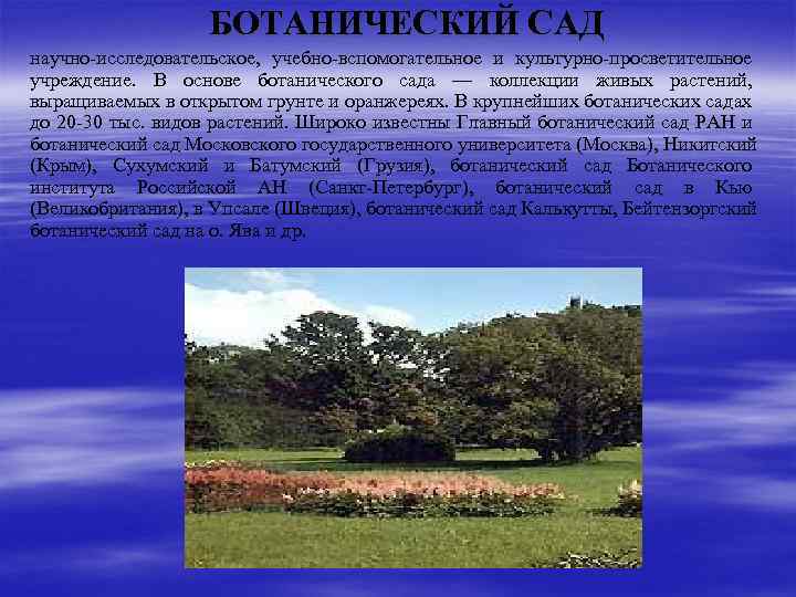 БОТАНИЧЕСКИЙ САД научно-исследовательское, учебно-вспомогательное и культурно-просветительное учреждение. В основе ботанического сада — коллекции живых