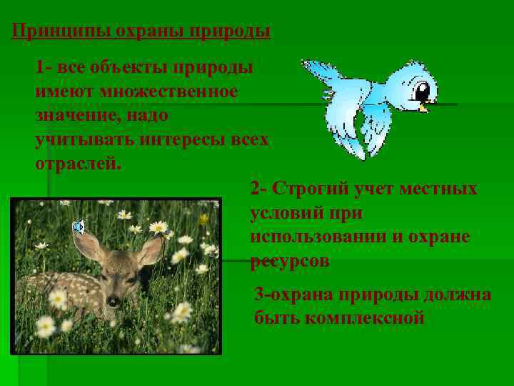 Принципы охраны природы 1 - все объекты природы имеют множественное значение, надо учитывать интересы