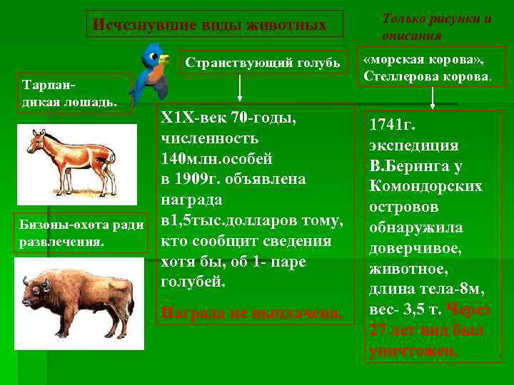 Исчезнувшие виды животных Странствующий голубь Тарпан- дикая лошадь. Х 1 Х-век 70 -годы, численность