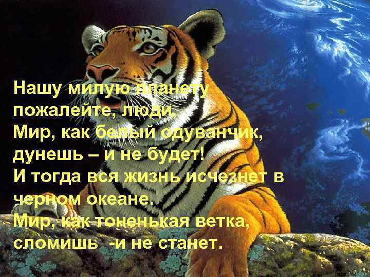 Нашу милую планету пожалейте, люди, Мир, как белый одуванчик, дунешь – и не будет!