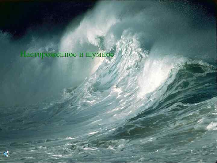 Настороженное и шумное 