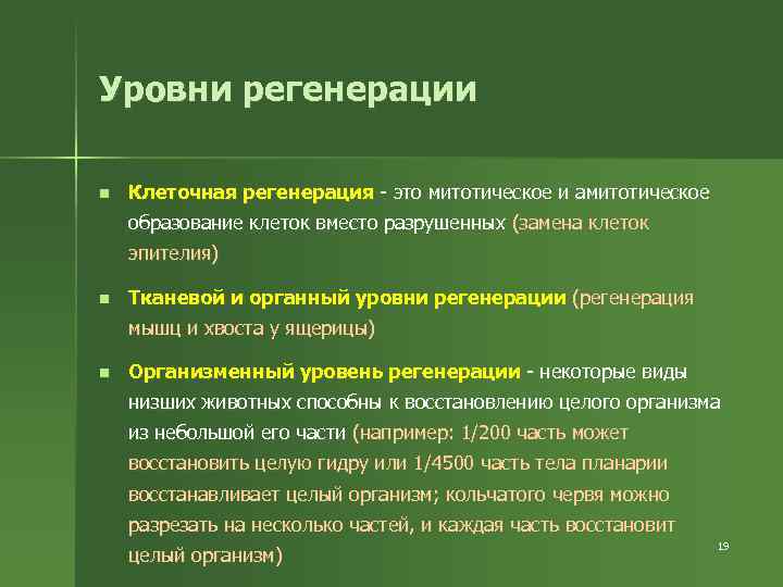 Характерные черты процесса регенерации презентация