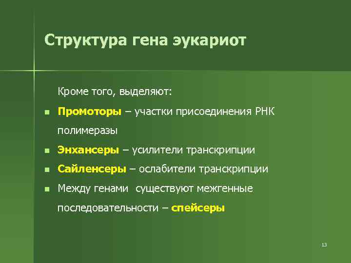 Структура гена эукариот Кроме того, выделяют: n Промоторы – участки присоединения РНК полимеразы n