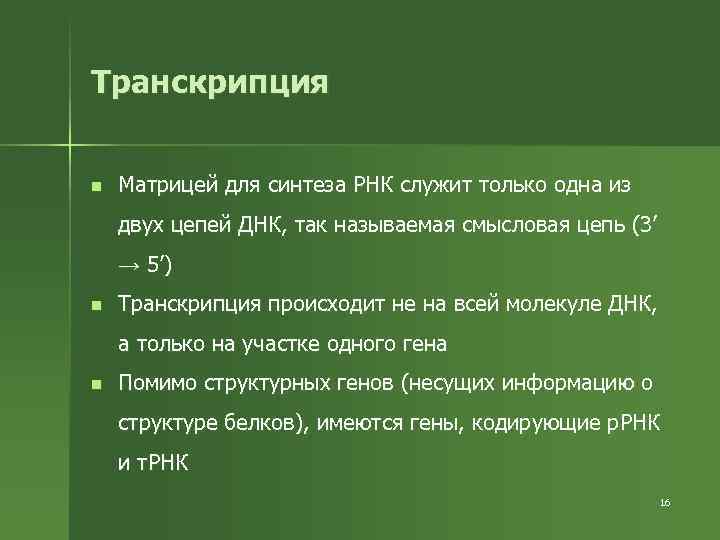 Транскрипция n Матрицей для синтеза РНК служит только одна из двух цепей ДНК, так