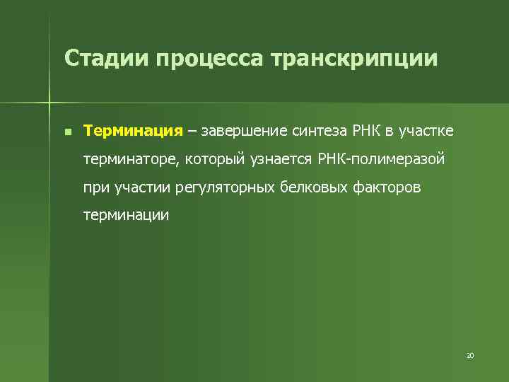 Стадии процесса транскрипции n Терминация – завершение синтеза РНК в участке терминаторе, который узнается