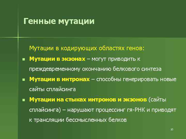 Генные мутации Мутации в кодирующих областях генов: n Мутации в экзонах – могут приводить
