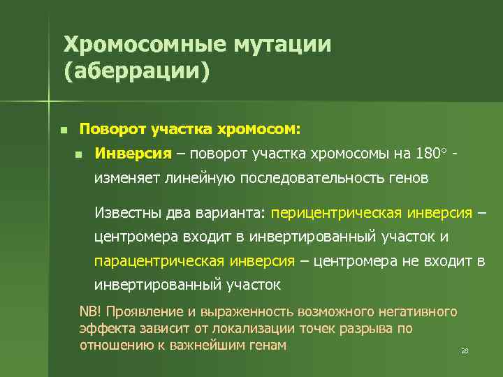 Хромосомные мутации (аберрации) n Поворот участка хромосом: n Инверсия – поворот участка хромосомы на