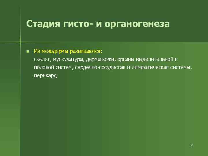 Стадия гисто- и органогенеза n Из мезодермы развиваются: скелет, мускулатура, дерма кожи, органы выделительной