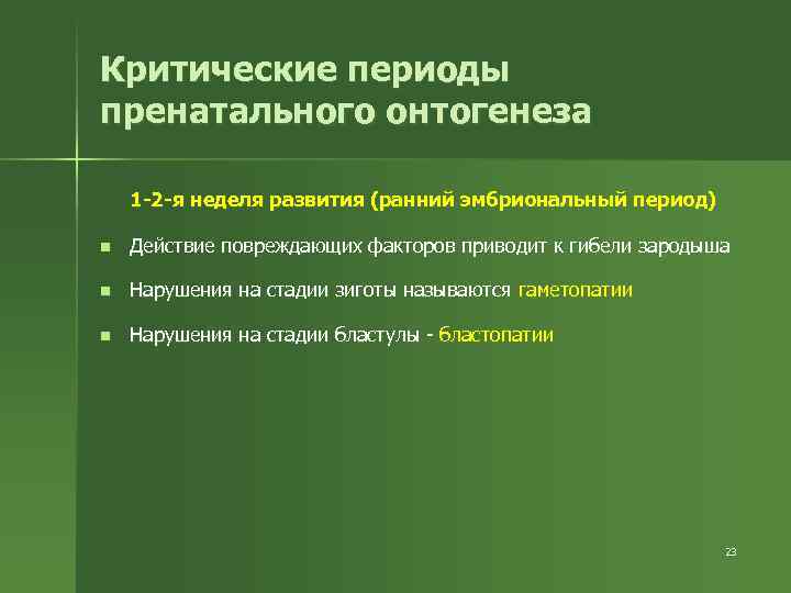 Критические периоды пренатального онтогенеза 1 -2 -я неделя развития (ранний эмбриональный период) n Действие