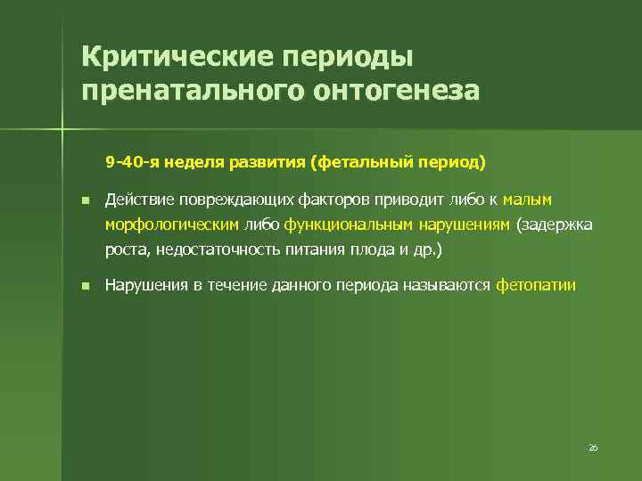 Критические периоды пренатального онтогенеза 9 -40 -я неделя развития (фетальный период) n Действие повреждающих