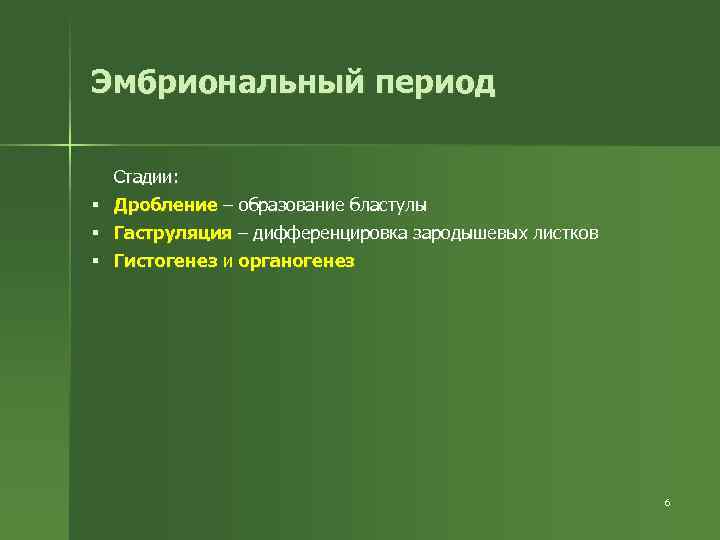 Эмбриональный период Стадии: § Дробление – образование бластулы § Гаструляция – дифференцировка зародышевых листков