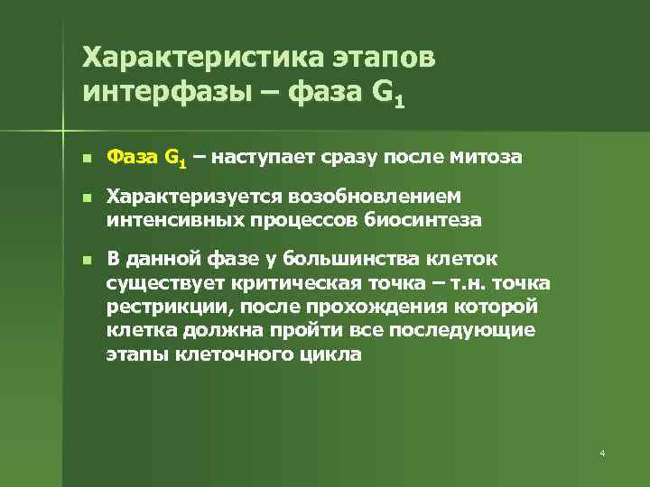 Характеристика этапов интерфазы – фаза G 1 n Фаза G 1 – наступает сразу