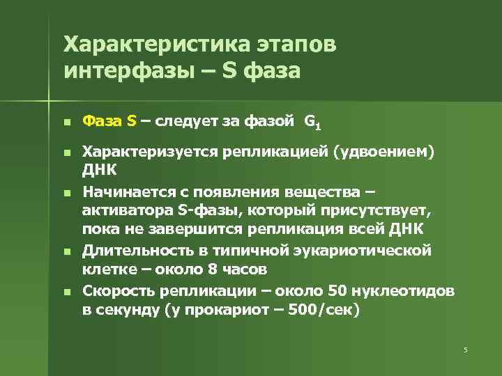 Характеристика этапов интерфазы – S фаза n Фаза S – следует за фазой G