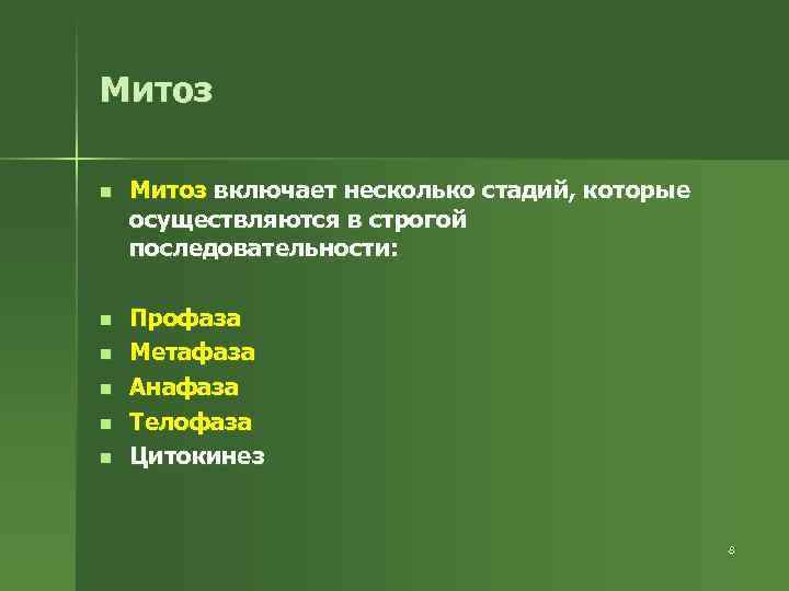 Митоз n Митоз включает несколько стадий, которые осуществляются в строгой последовательности: n Профаза Метафаза