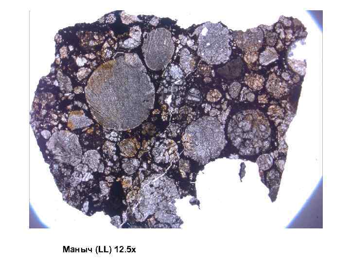 Маныч (LL) 12. 5 x 