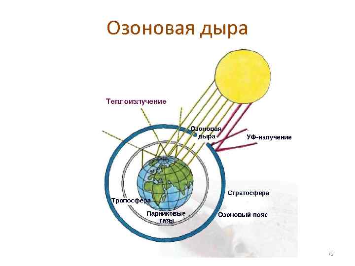 Озоновая дыра 79 