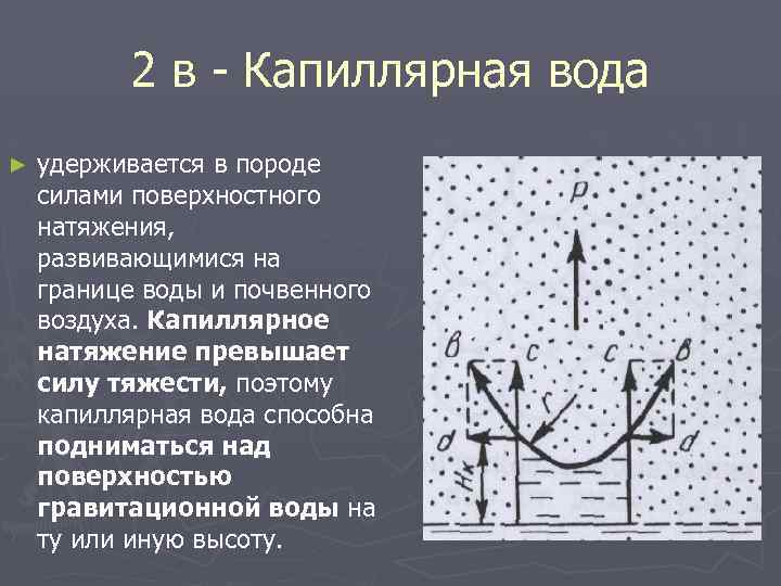 2 в - Капиллярная вода ► удерживается в породе силами поверхностного натяжения, развивающимися на