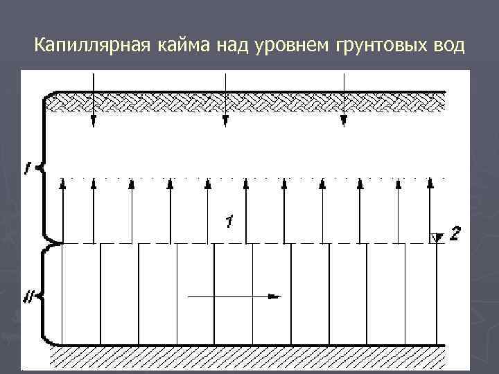 Капиллярная кайма над уровнем грунтовых вод 