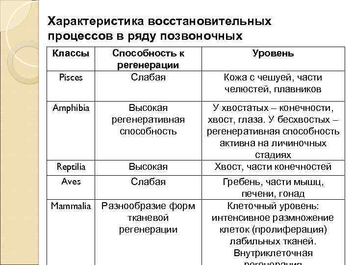 Восстановительные процессы обеспечивает. Физиологическая характеристика восстановительных процессов. Восстановительные процессы в организме. Виды восстановительных процессов.