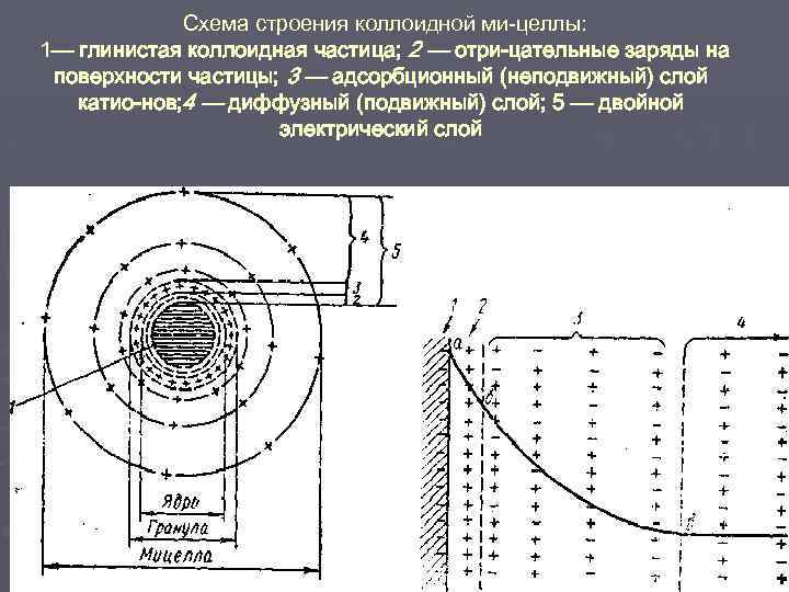 Схема строения коллоидной ми целлы: 1— глинистая коллоидная частица; 2 — отри цательные заряды