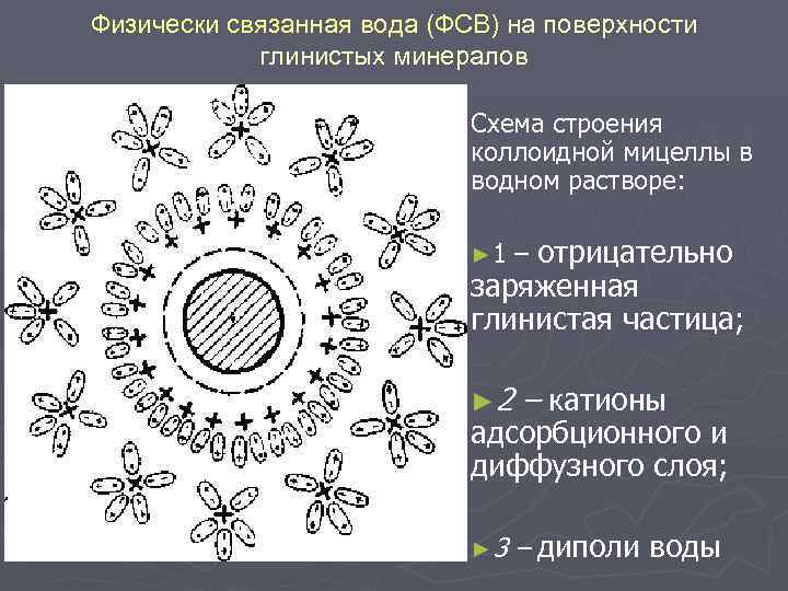 Физически связанная вода (ФСВ) на поверхности глинистых минералов Схема строения коллоидной мицеллы в водном