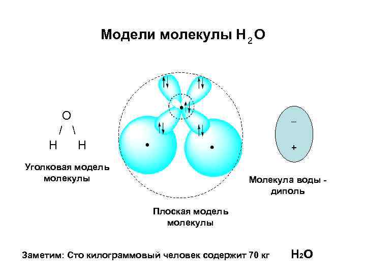 Модели молекулы Н 2 О О /  Н Н + Уголковая модель молекулы