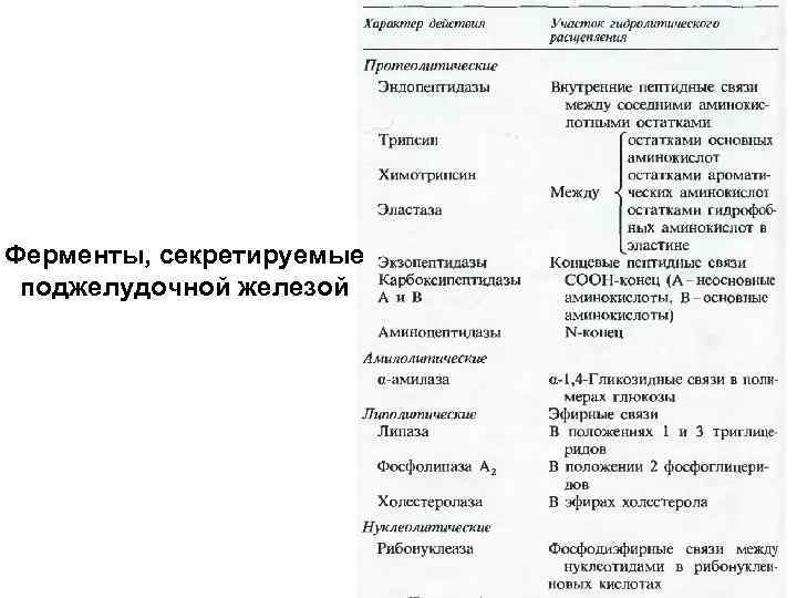 Ферменты, секретируемые поджелудочной железой 