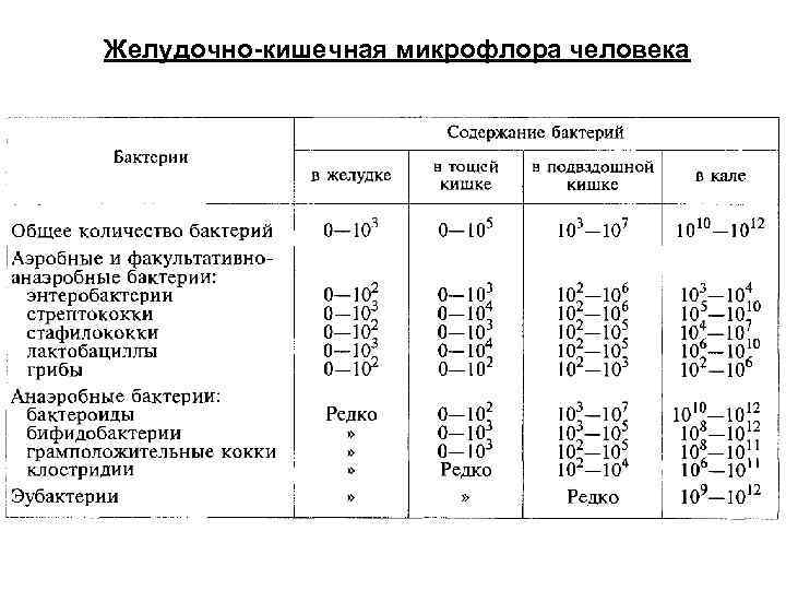 Желудочно-кишечная микрофлора человека 