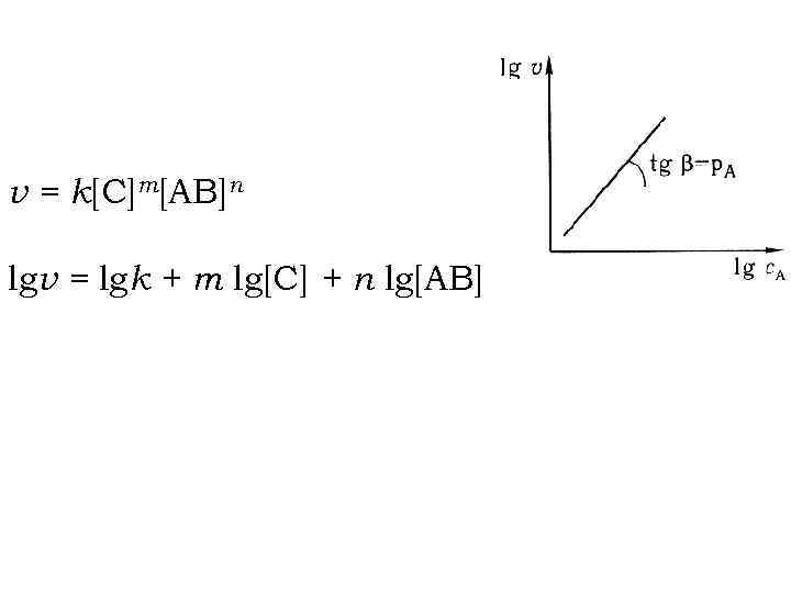 v = k[C]m[AB]n lgv = lgk + m lg[C] + n lg[AB] 