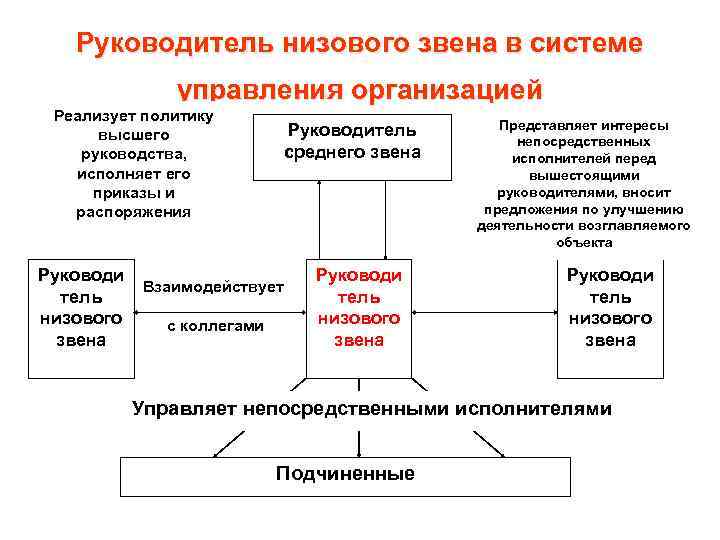 Руководитель низового звена в системе управления организацией Реализует политику высшего руководства, исполняет его приказы