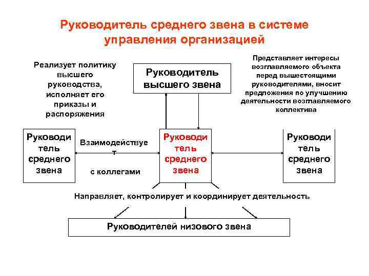 Руководитель среднего звена в системе управления организацией Реализует политику высшего руководства, исполняет его приказы