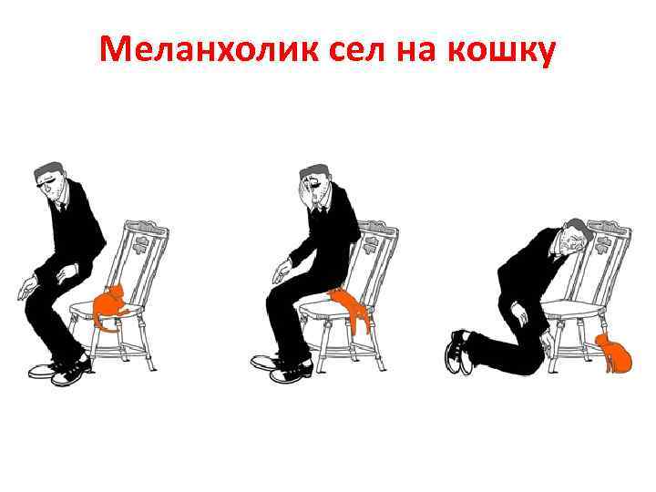 Меланхолик сел на кошку 