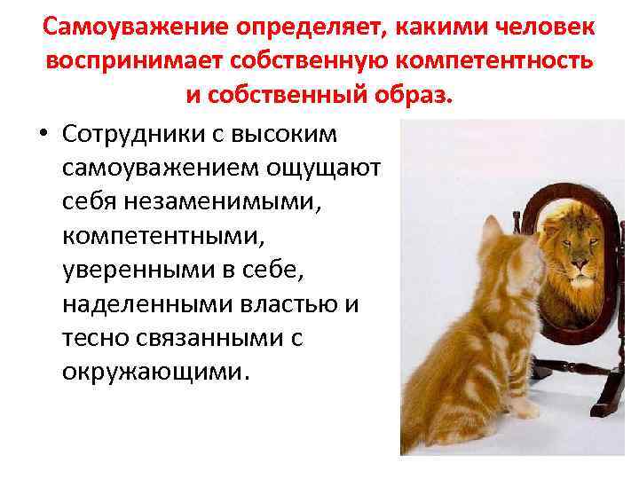 Самоуважение определяет, какими человек воспринимает собственную компетентность и собственный образ. • Сотрудники с высоким
