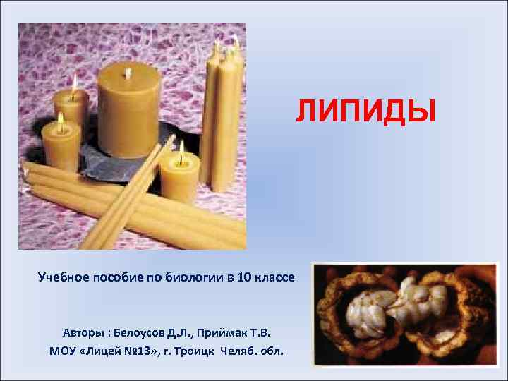 ЛИПИДЫ Учебное пособие по биологии в 10 классе Авторы : Белоусов Д. Л. ,
