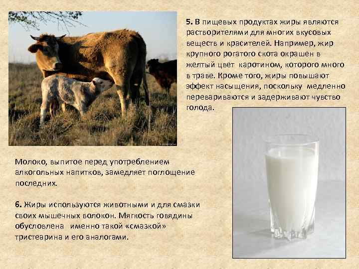 5. В пищевых продуктах жиры являются растворителями для многих вкусовых веществ и красителей. Например,