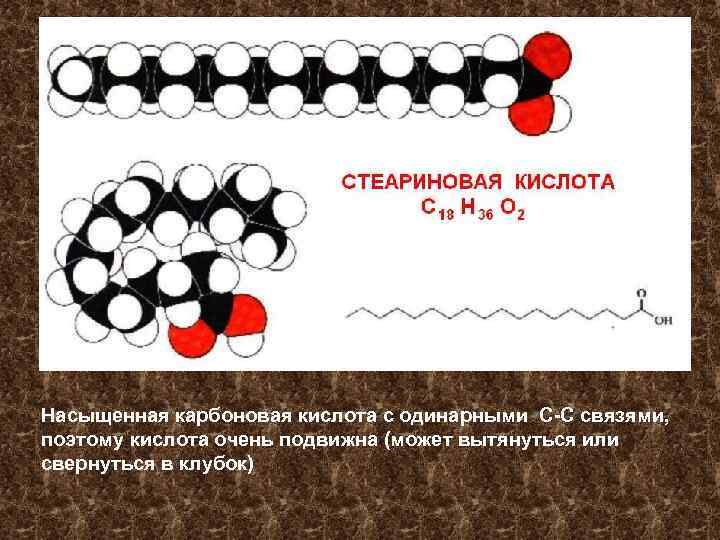 Насыщенная карбоновая кислота с одинарными С-С связями, поэтому кислота очень подвижна (может вытянуться или