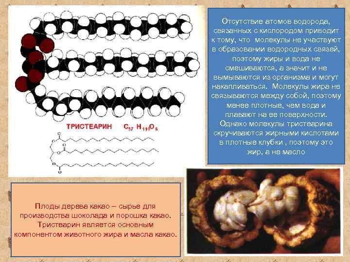 Отсутствие атомов водорода, связанных с кислородом приводит к тому, что молекулы не участвуют в