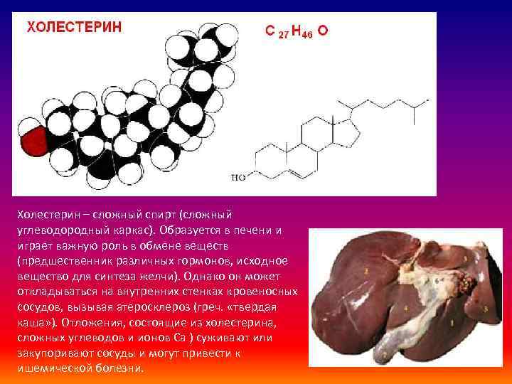 Холестерин – сложный спирт (сложный углеводородный каркас). Образуется в печени и играет важную роль