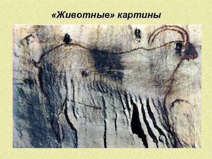  «Животные» картины 