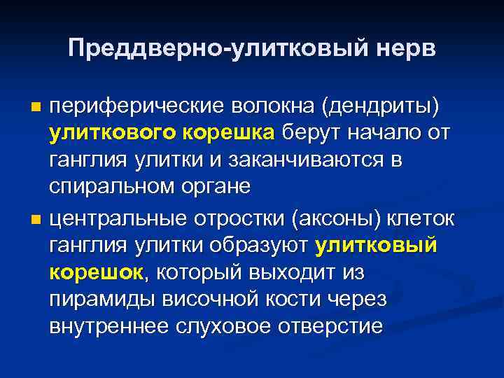 Преддверно-улитковый нерв периферические волокна (дендриты) улиткового корешка берут начало от ганглия улитки и заканчиваются