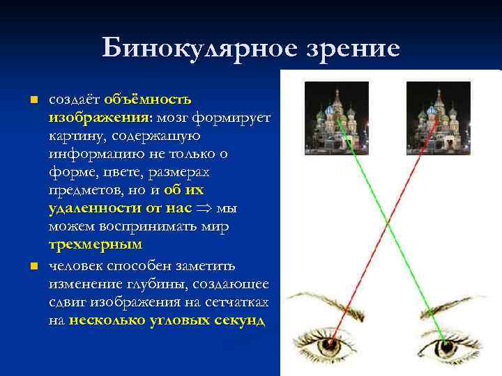 Бинокулярное зрение схема - 98 фото