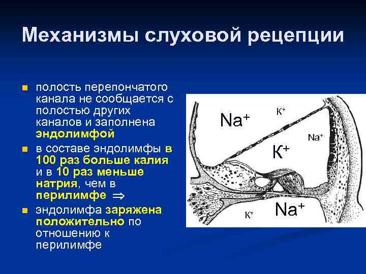 Полость другой