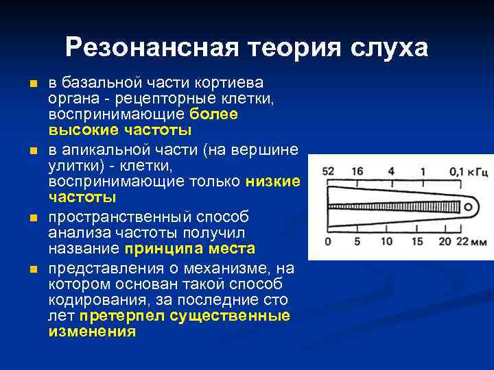 Резонансная теория слуха n n в базальной части кортиева органа - рецепторные клетки, воспринимающие