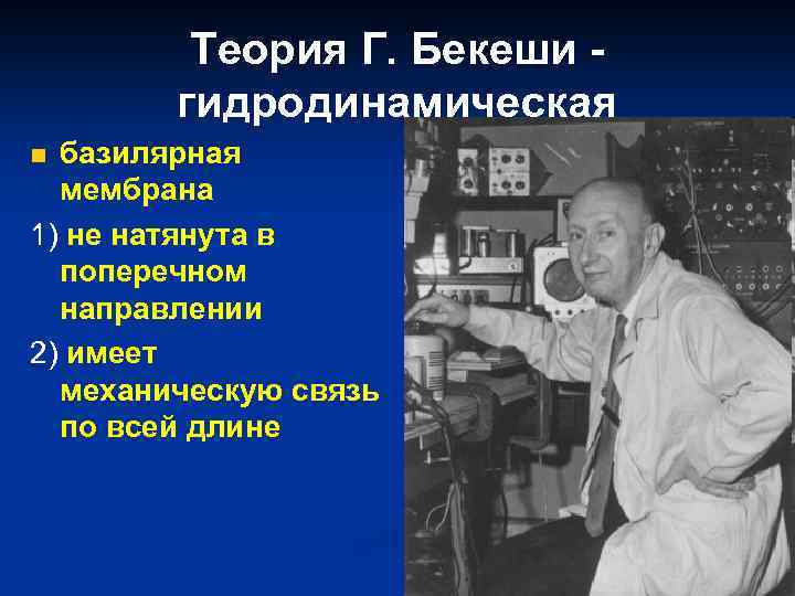Теория Г. Бекеши гидродинамическая базилярная мембрана 1) не натянута в поперечном направлении 2) имеет