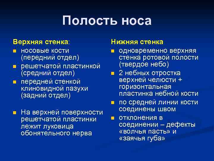 Полость носа Верхняя стенка: n носовые кости (передний отдел) n решетчатой пластинкой (средний отдел)