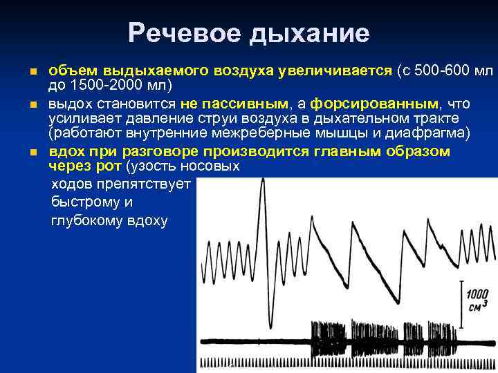 Речевое дыхание n n n объем выдыхаемого воздуха увеличивается (с 500 -600 мл до