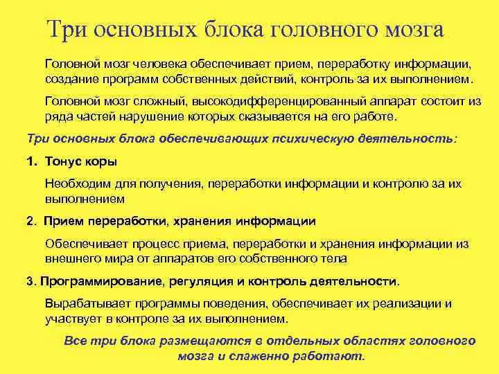 Три основных блока головного мозга Головной мозг человека обеспечивает прием, переработку информации, создание программ