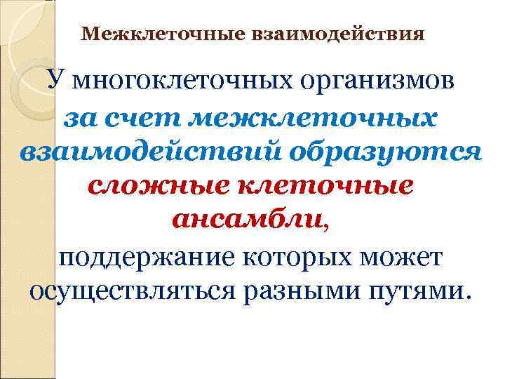 Межклеточные взаимодействия У многоклеточных организмов за счет межклеточных взаимодействий образуются сложные клеточные ансамбли, поддержание