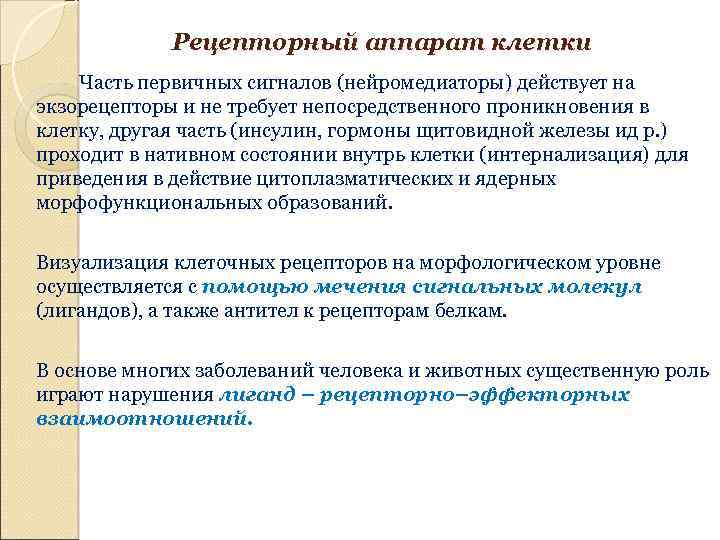 Рецепторный аппарат клетки Часть первичных сигналов (нейромедиаторы) действует на экзорецепторы и не требует непосредственного